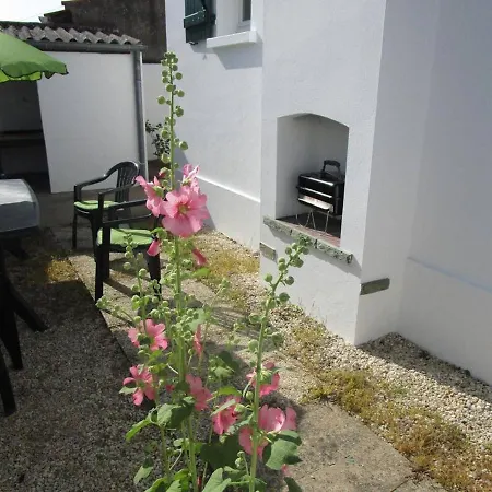 Maison Calme Proche Centre-ville, 3 Chambres, Jardin, 1,2 Km De La - - Fr-1-224-338 別荘 *